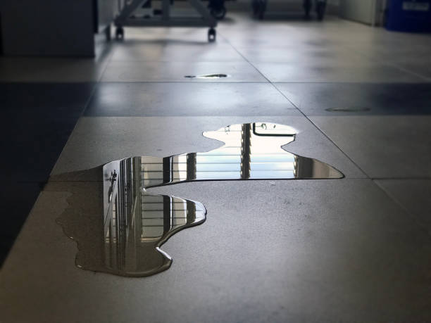 Best Water damage repair service  in Shenandoah, PA