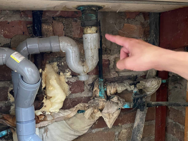 Best Local water damage restoration  in Shenandoah, PA
